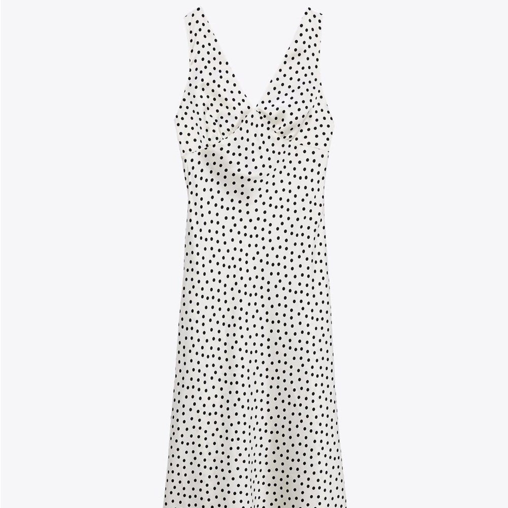Zara Black and White Maxi Dress